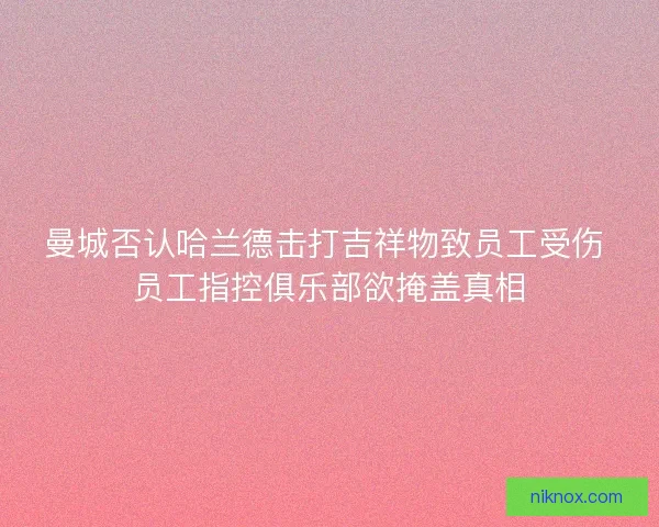 曼城否认哈兰德击打吉祥物致员工受伤 员工指控俱乐部欲掩盖真相