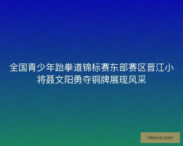 全国青少年跆拳道锦标赛东部赛区晋江小将聂文阳勇夺铜牌展现风采
