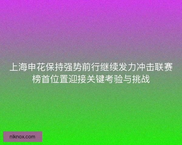 上海申花保持强势前行继续发力冲击联赛榜首位置迎接关键考验与挑战